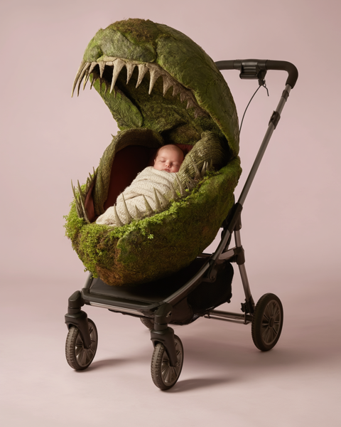 Kinderwagen als Venus vliegenval